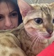 Аватара пользователя