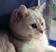 Аватара пользователя