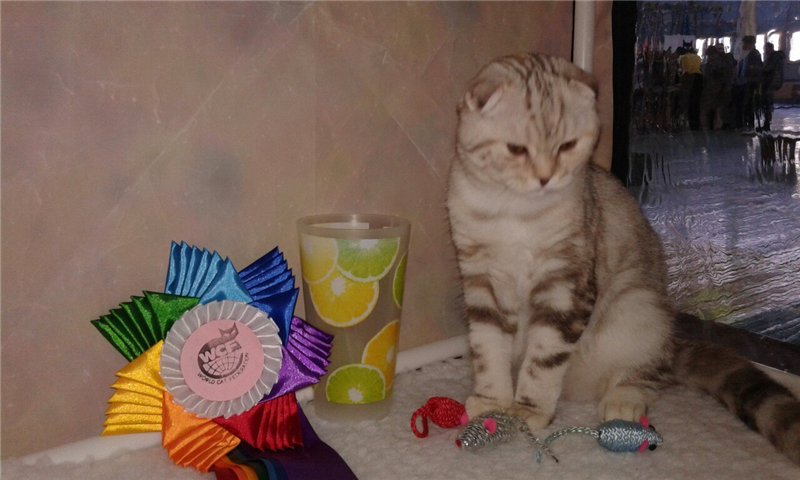 02.jpg